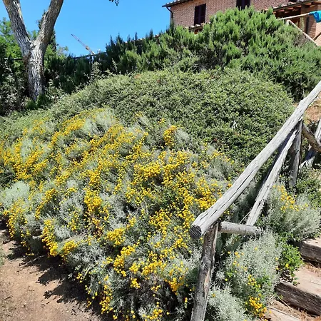 Podere Valdilucciole Città della Pieve