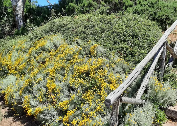 Podere Valdilucciole Città della Pieve