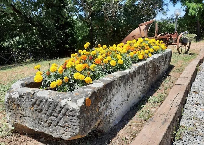 Podere Valdilucciole * Città della Pieve